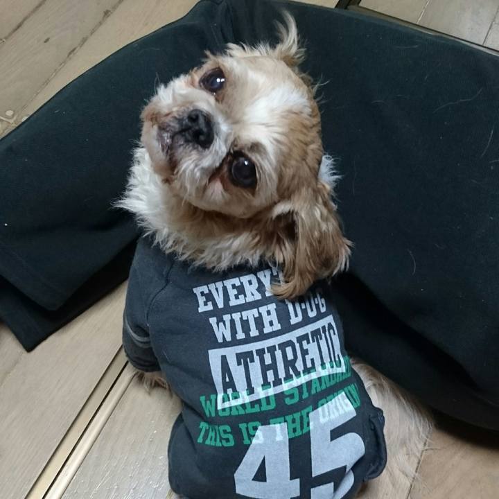 300009aa a114 4571 9f88 1e31e560fc83