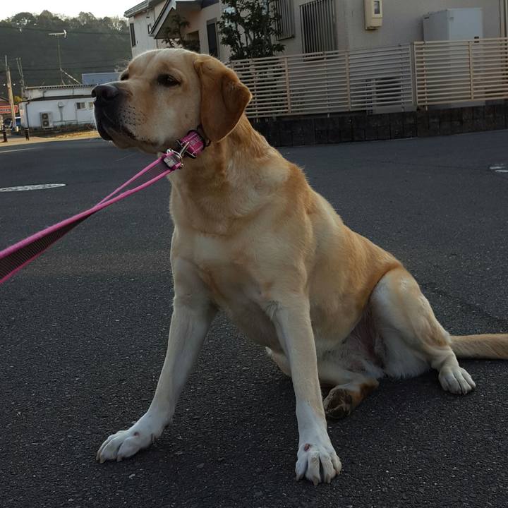 300023f2 3831 4c5d 9069 ca06c6b5221d