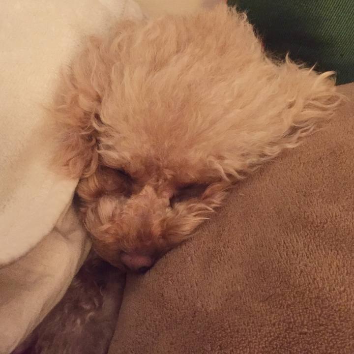 30009b82 8ea3 4b2e a269 63778ff35811