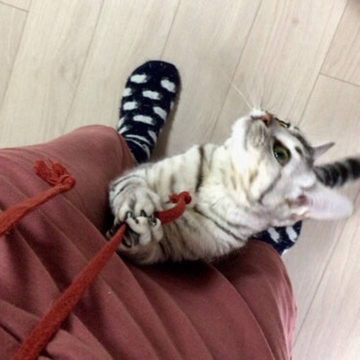 3000d3b0 3e49 486f ab67 3e4f2865c9cf