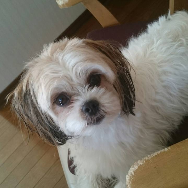 30013113 e181 4a30 bbed 70623e929a39