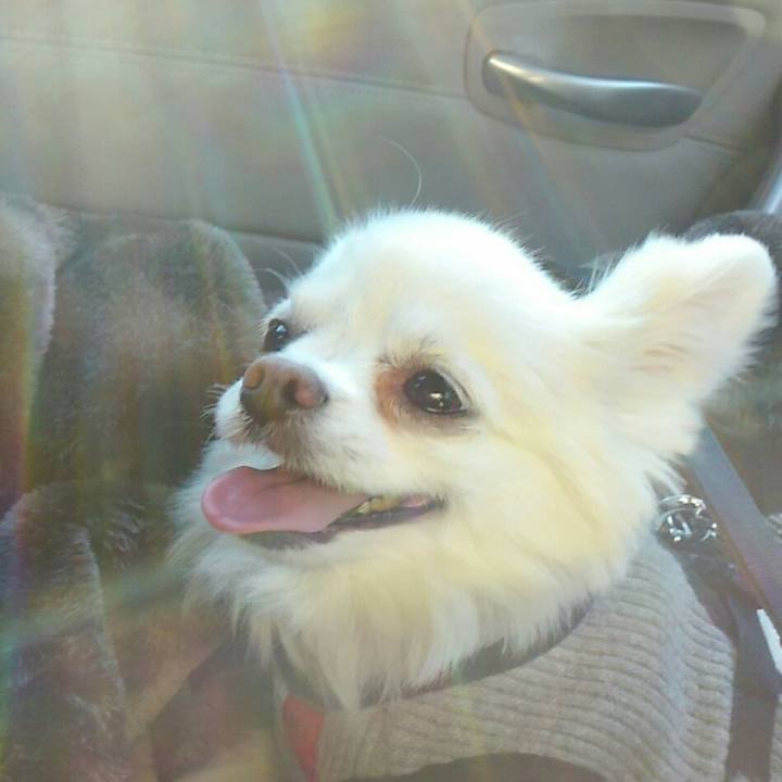 3001d5ab e091 4788 bf22 b5e16c18b3cd