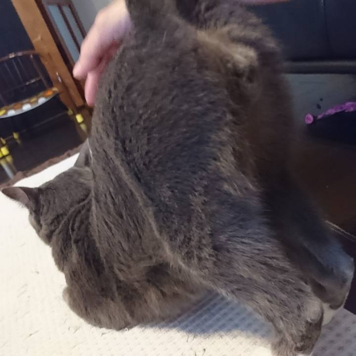 300222c1 7180 4797 9e8a 3c337537f25f