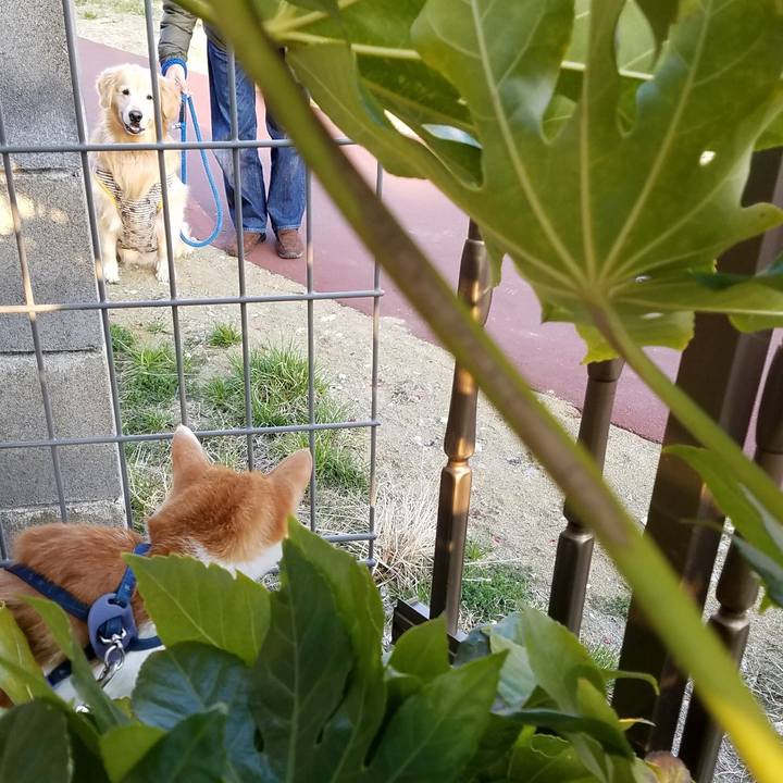 3002c799 dcd0 4b9d bc0d ad8e21231710