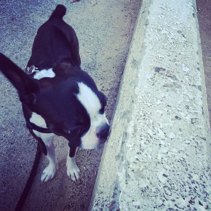 3003b3dd 0e4a 49e7 b112 ca93eb42ab4e