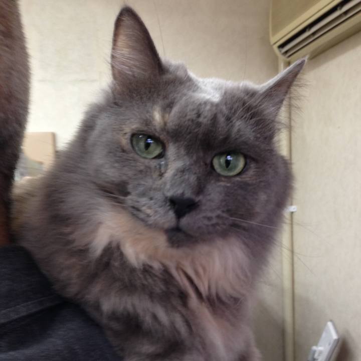 3003c617 f02f 4672 b700 c80f7906c47b