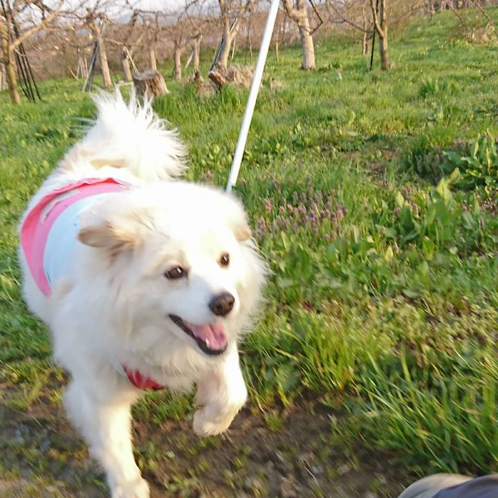 30049b94 f47e 4418 9f5f 8b78e68f9e2f