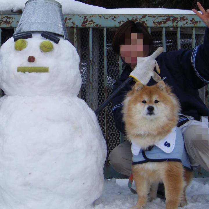 30054351 3160 4f0f 8157 b56b6edfd5f5