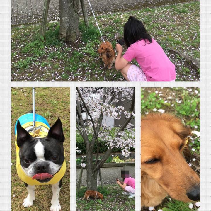 30059565 d6c5 4c09 949c f52ea95f26be