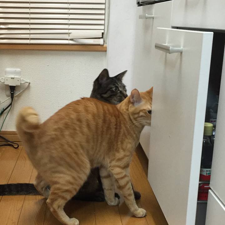 3005984b 6f07 4998 b473 934a01f7d26b