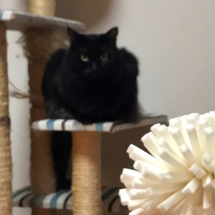 3005c345 b008 4bc0 b55b e05f4a80f7f6