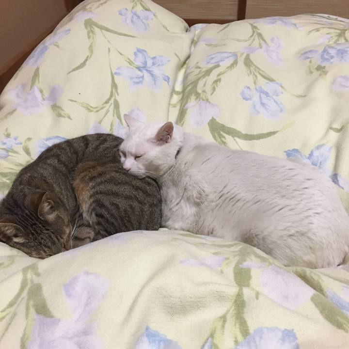 30063bd3 8b5a 41f6 9bd2 8a5422b595c6