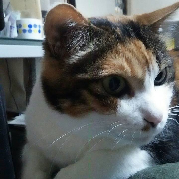 3006763f 4c33 4f03 9d79 b4aba799fb8a