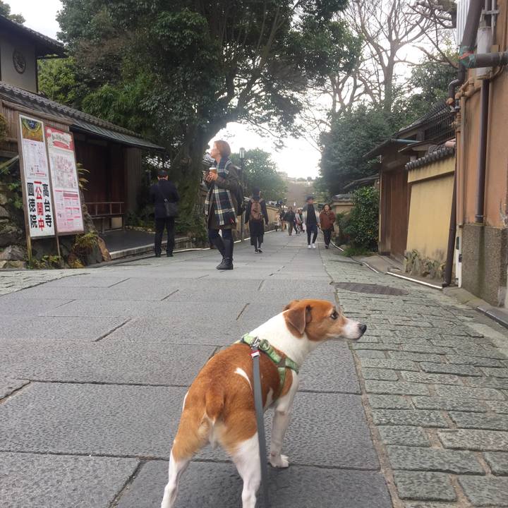 3006d979 07b2 44f4 bc4e 0e0522edbab5