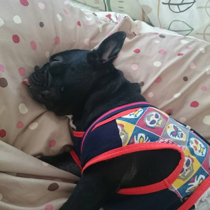 3006da59 b787 47d3 b38f d509a6d34427