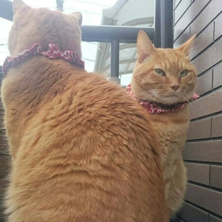 3006dd86 b9b1 49a9 bda4 f3ab728b95a4