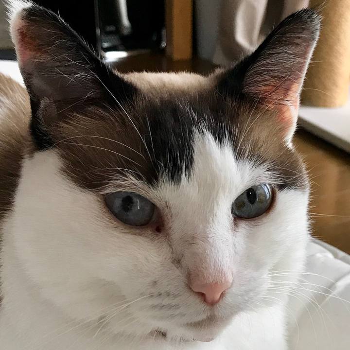 30072e5f 40df 4d66 ab1d c21310277eeb