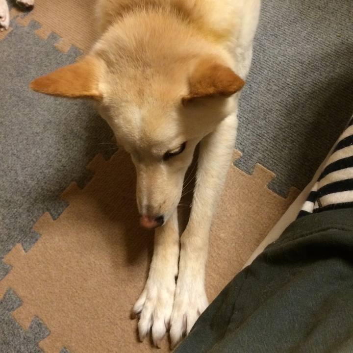 30074458 0eb5 4392 8627 21e776fab253