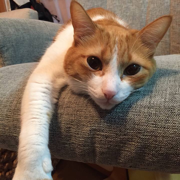 30077f95 d0cd 483d a9f7 908c778ef8f8