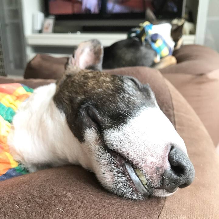 300791df ec78 4286 9fad 21ec6d87ca1f