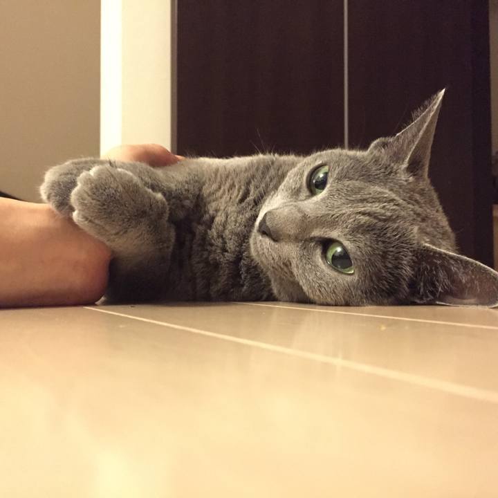 3008c075 bbc6 4251 a61c 1d12fe9c5416