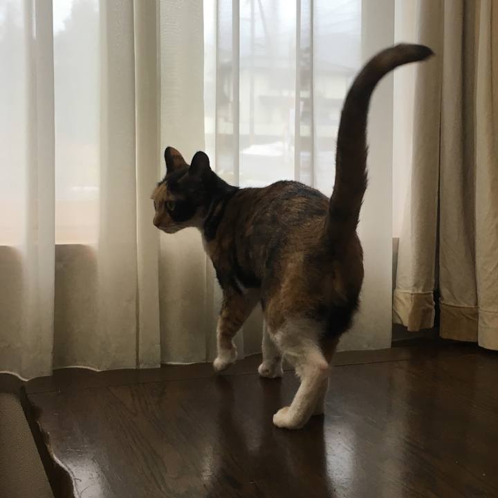 3008c927 4537 40e0 b456 d842830f1d19