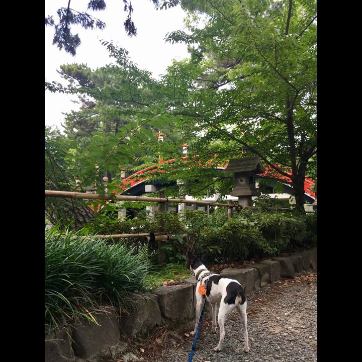 3009808f 27f8 47aa 8a88 04b80697a47d