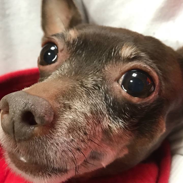 300a17fd f17b 4022 8ea6 9523b248a11d