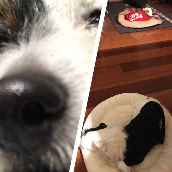 300ad279 a5fa 490e b412 5b13d2356bcc