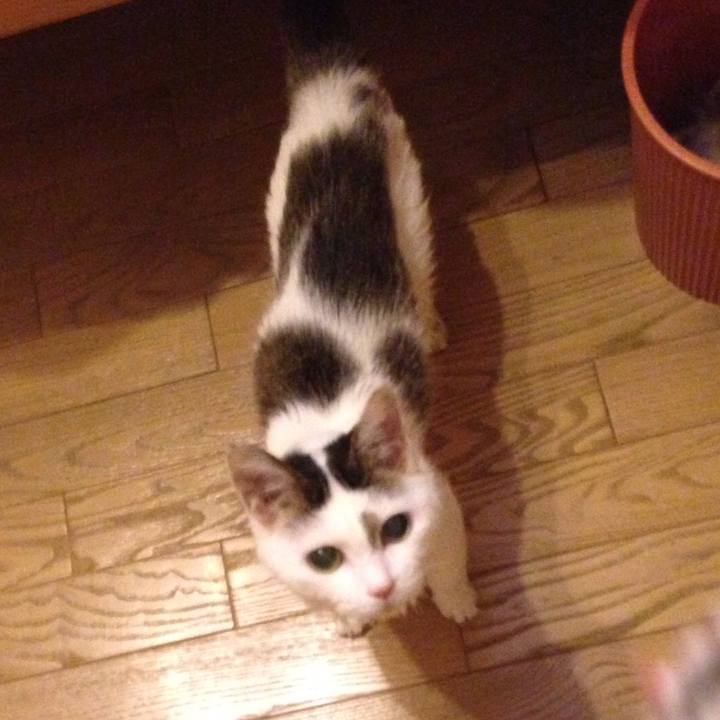 300b1ef4 863f 4015 94f0 60c2e15910b9