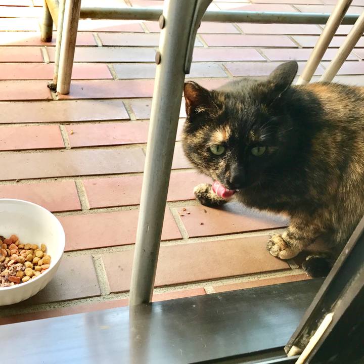 300b23af 1d23 42fb ad74 2a80ac9fd483