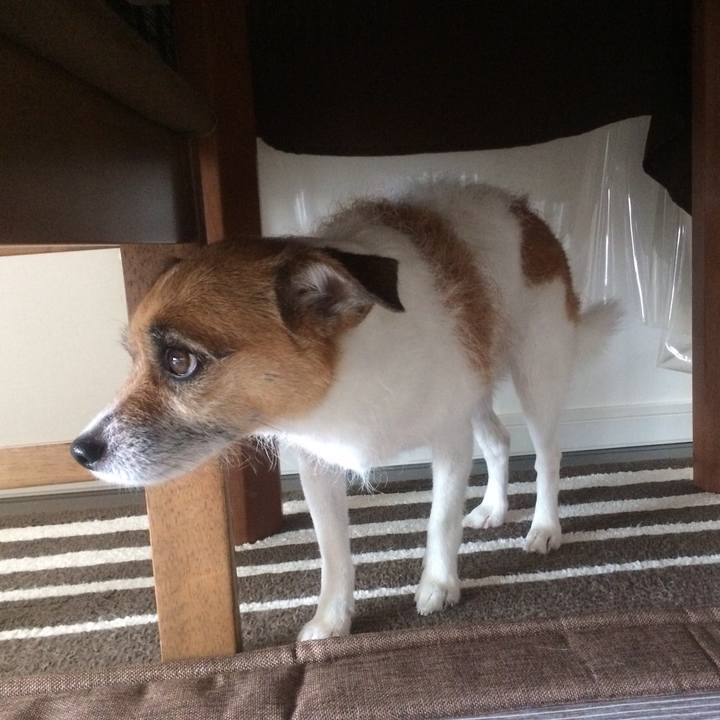 300c7427 ccb1 4c24 a247 1e8e0ba5b005