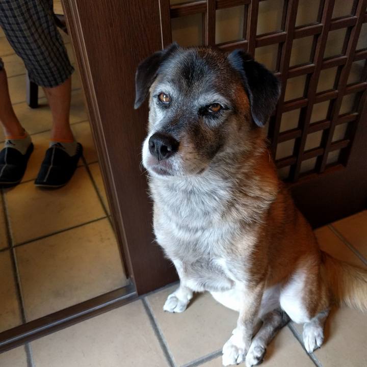 300cd146 84ef 4f7b b98a d3f0d7ea1b61