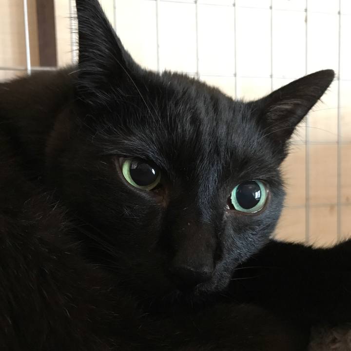 300d32eb f979 4d6d 8185 8247dffa25d5