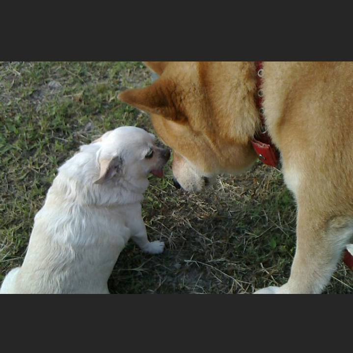 300d3fd7 0b1b 41fc 94ee 92a656a75375