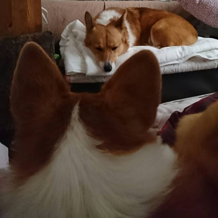 300d7f24 6ec0 4485 896f 6bcc76da3fb7