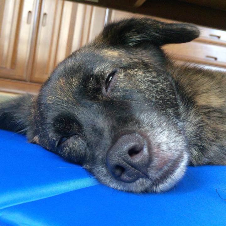 300e0cf2 fa24 4285 9abd 5ebc3f307470