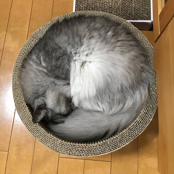 300ec1a8 0bd3 4162 badd 8e46bed0cbbd