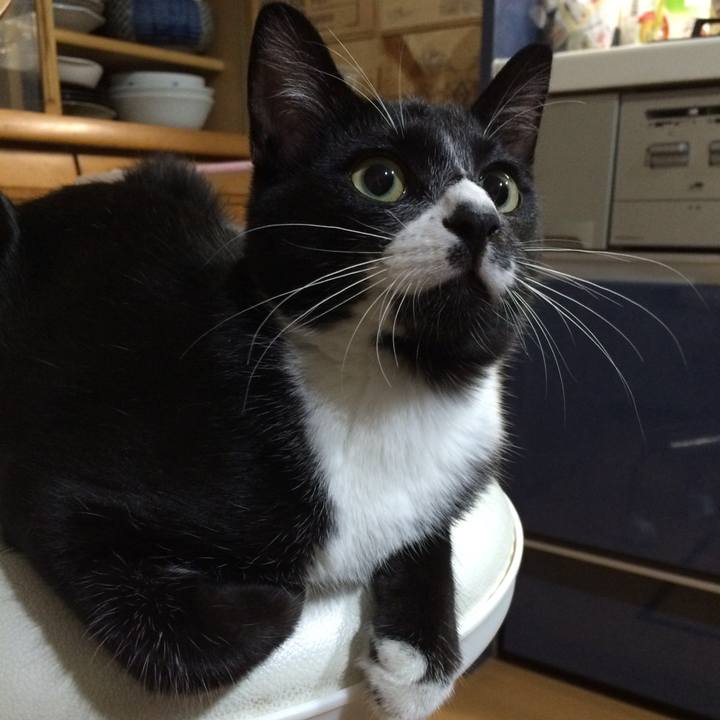 300ece20 aec8 4c64 91bf db922e14c60f