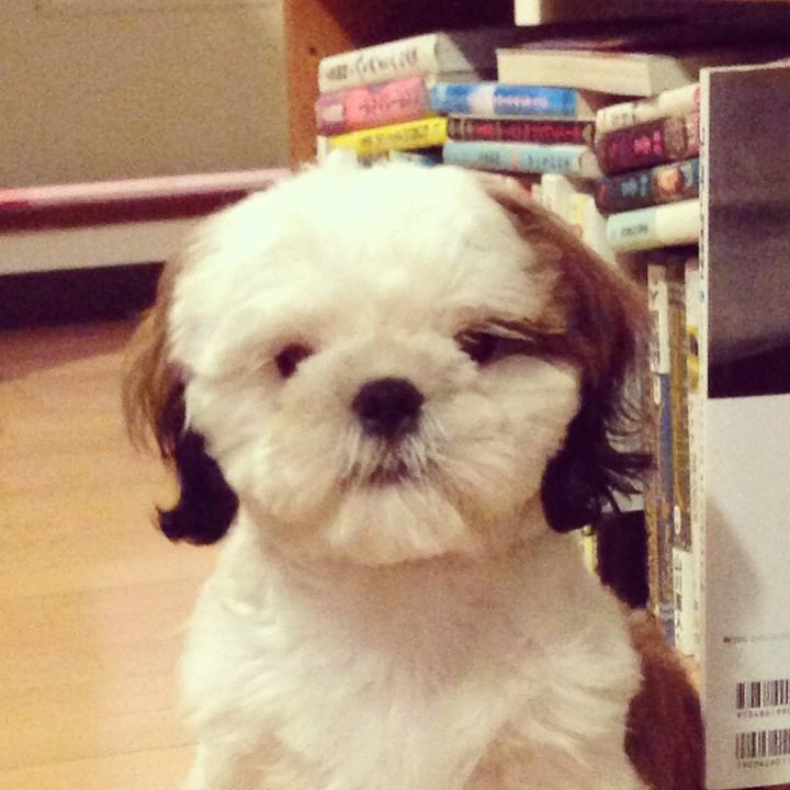 30103fd5 b576 43be 8d2a 1b961ff36c4d