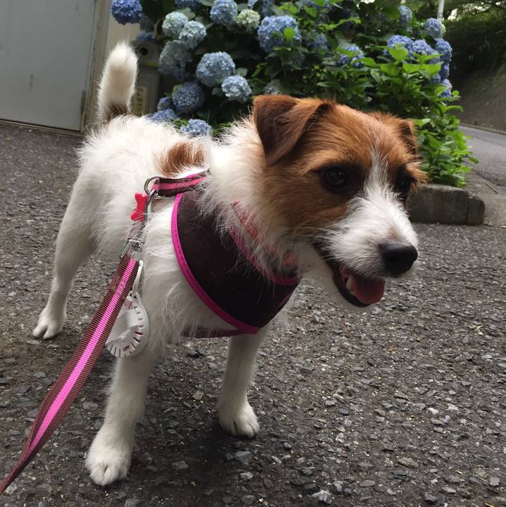 301047e0 54e8 4a20 a781 beceeefef1d6