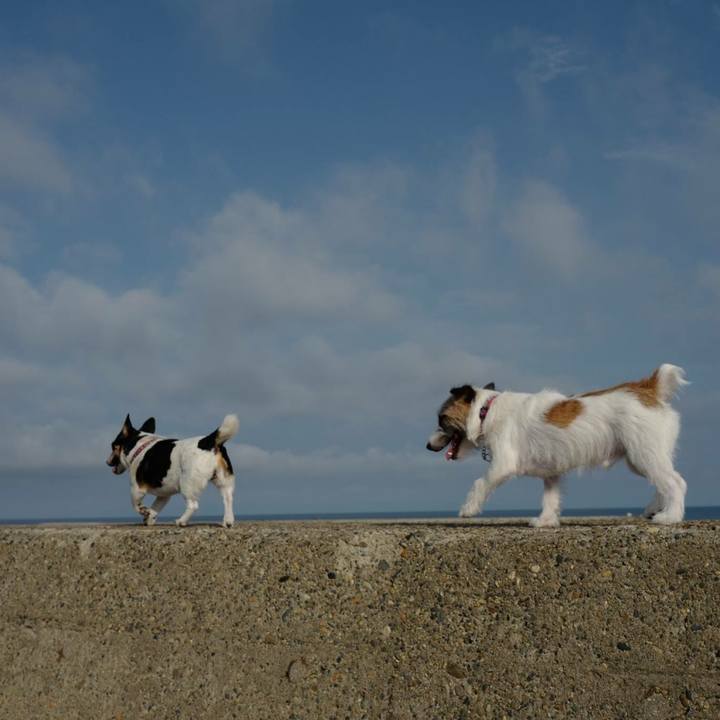 3011e6b6 c024 4368 a060 c68050783369