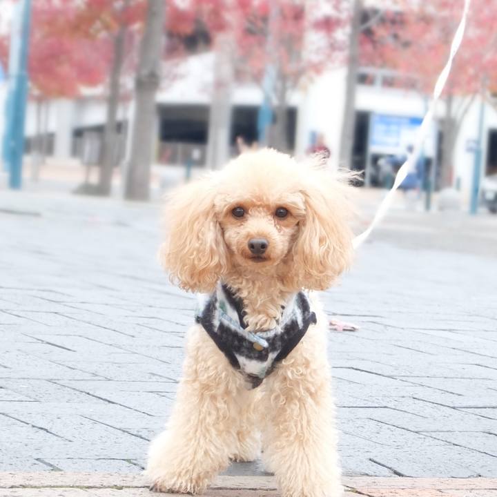 30122f57 1e56 4b6b b683 a87265f7bcca