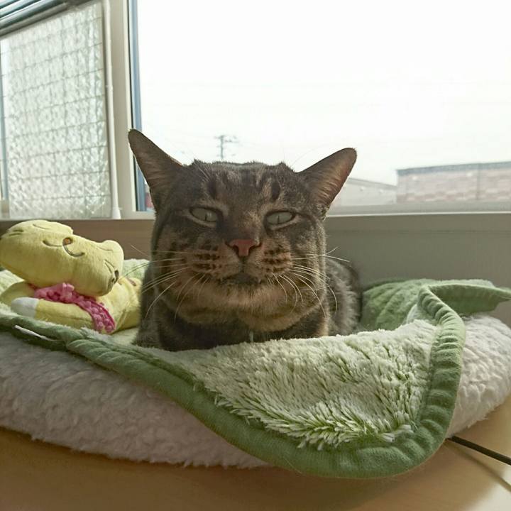 301254e8 a611 4396 adf2 72d5c1a2f2db