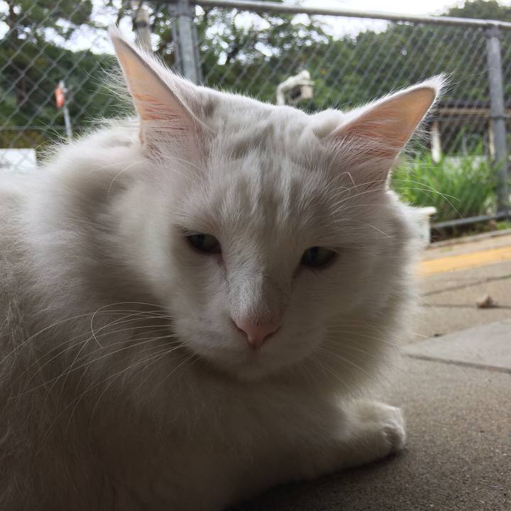 3012d0d0 c46a 459d a9aa a1171be68012