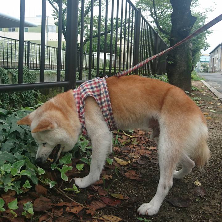 30132bb8 c98d 4ef3 9863 2968fdeed333