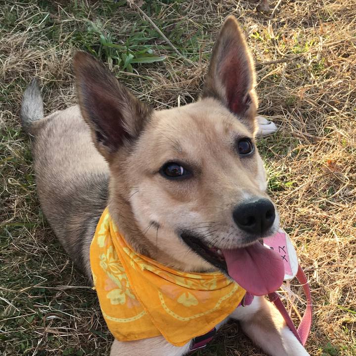 301527ee 3d31 47ce 8901 faacc863b21e