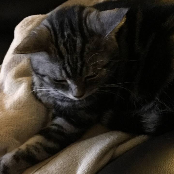 30159ba9 e290 4dab 930b e792fd972151