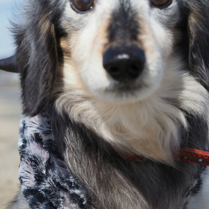 3015ae8f 773e 416d a98c 1f939b39d13e