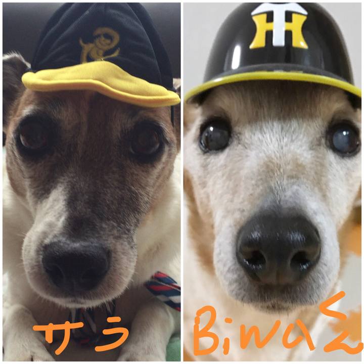 30163ad4 6a85 4d54 b3d5 7872fc781c1a